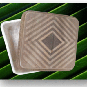 FOOD CONTAINER  - BIG